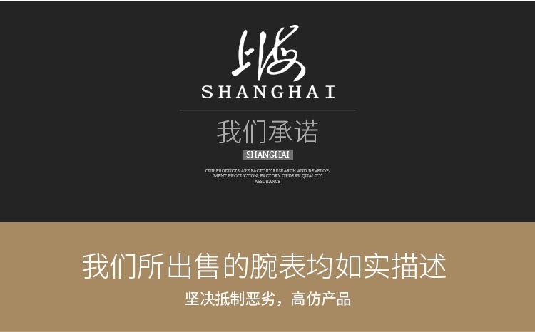 上海shanghai-商务系列 SH-591LAN-1 自动机械女表