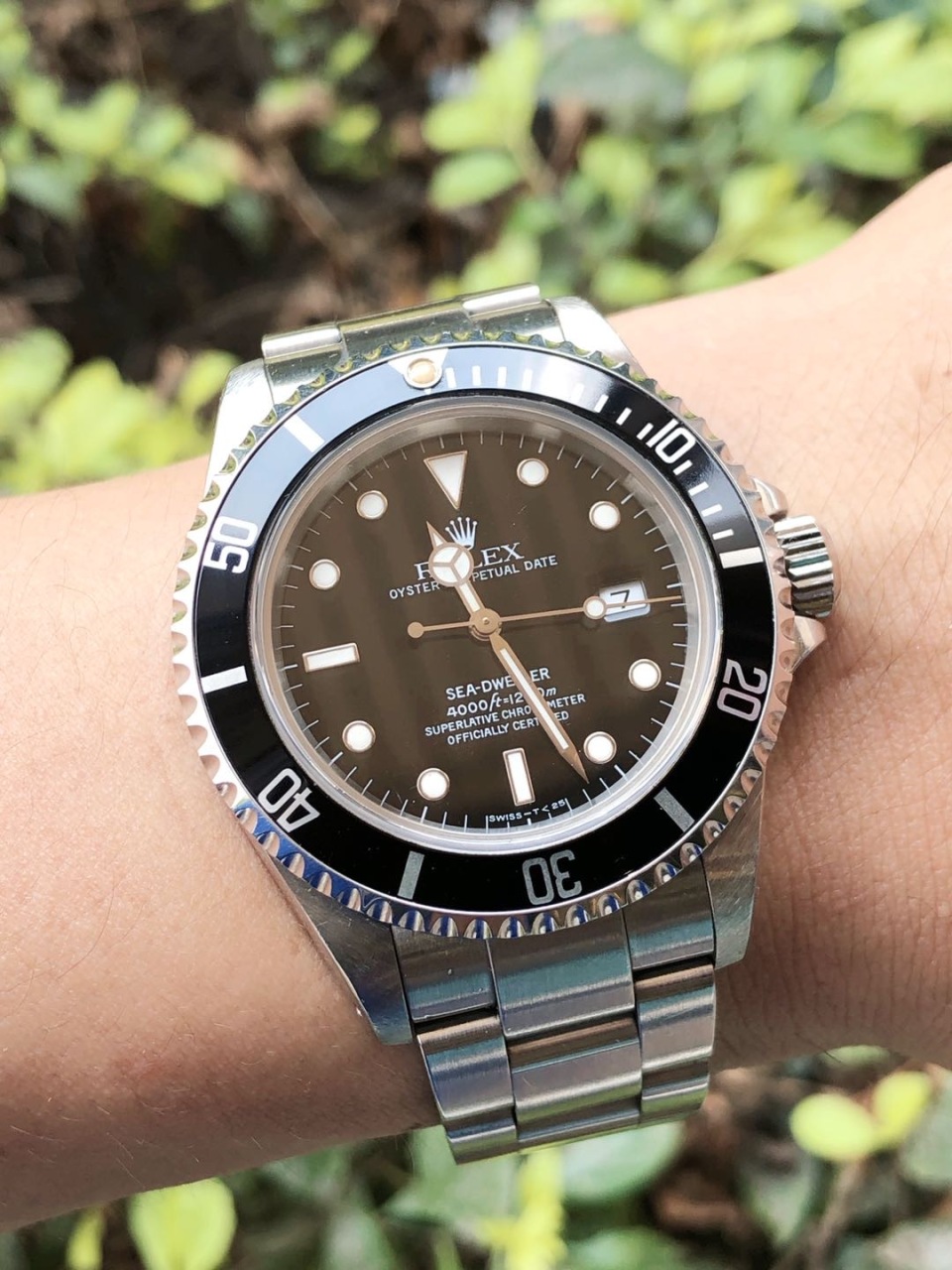 二手95新劳力士16600手表价格,值多少钱?